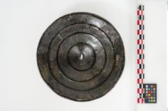 Foto von Bronzephalere (NHMW-PRAE-024553)